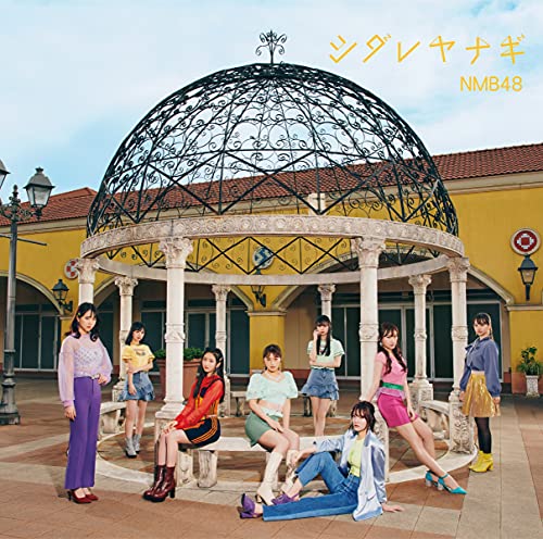 ☆商品写メ4枚有り☆AKB　SKE　NMB　HKT　卒業生　生写真 Amazon.co.jp: 【東李苑】 公式生写真 高橋みなみ卒業コンサート